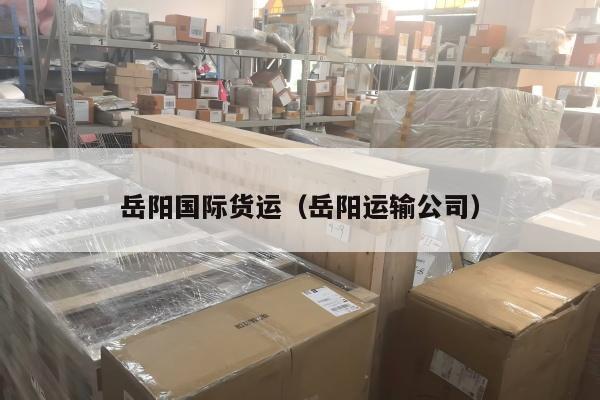 岳阳国际货运（岳阳运输公司）