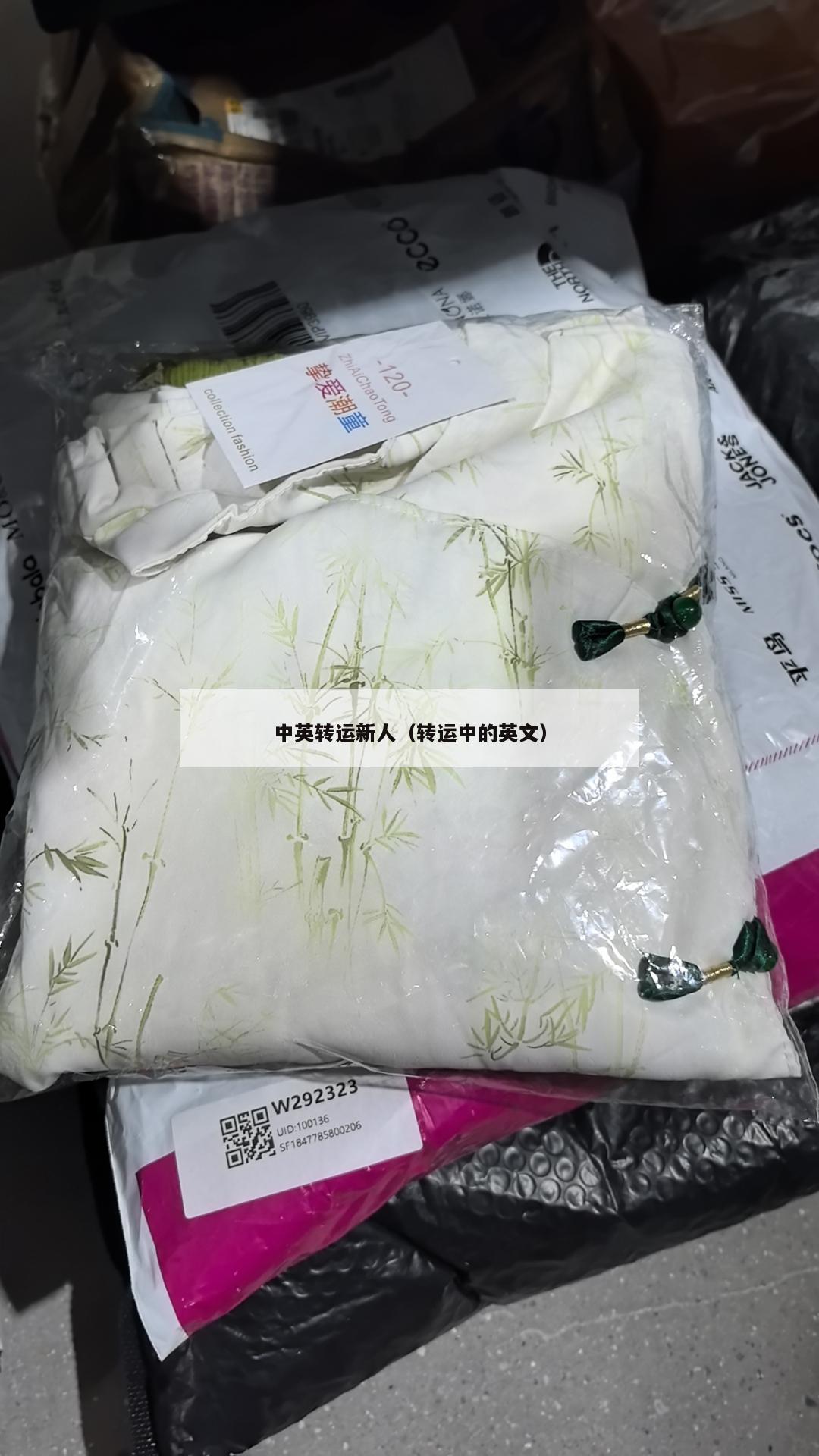 中英转运新人（转运中的英文）