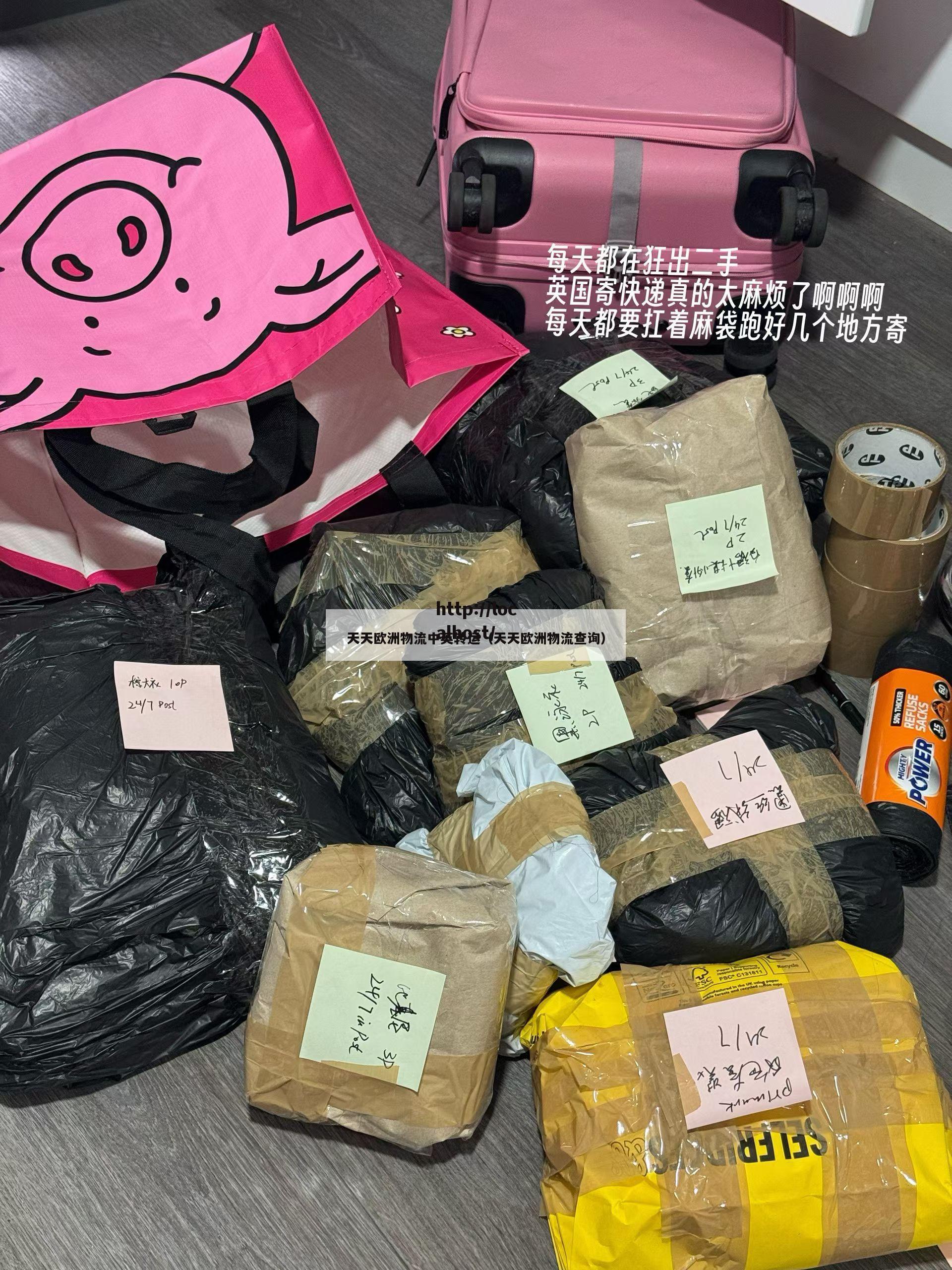 天天欧洲物流中英转运（天天欧洲物流查询）