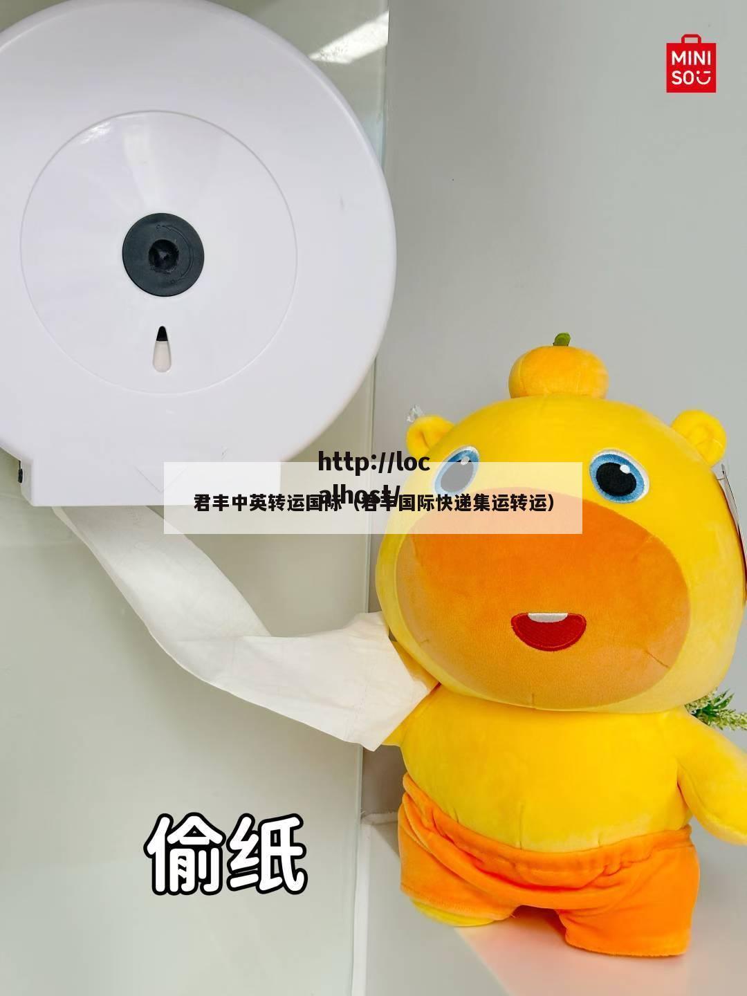君丰中英转运国际（君丰国际快递集运转运）