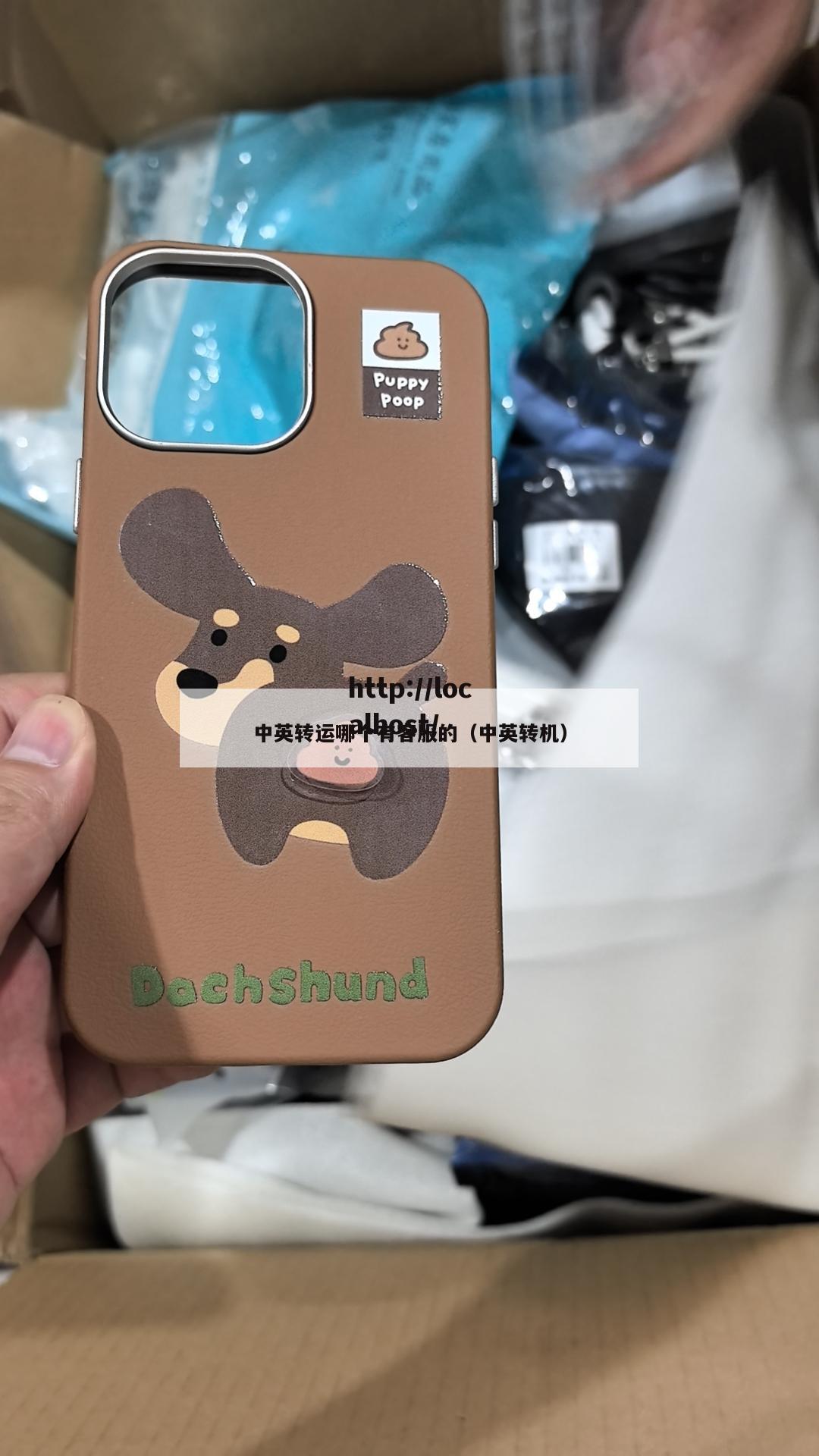 中英转运哪个有客服的（中英转机）