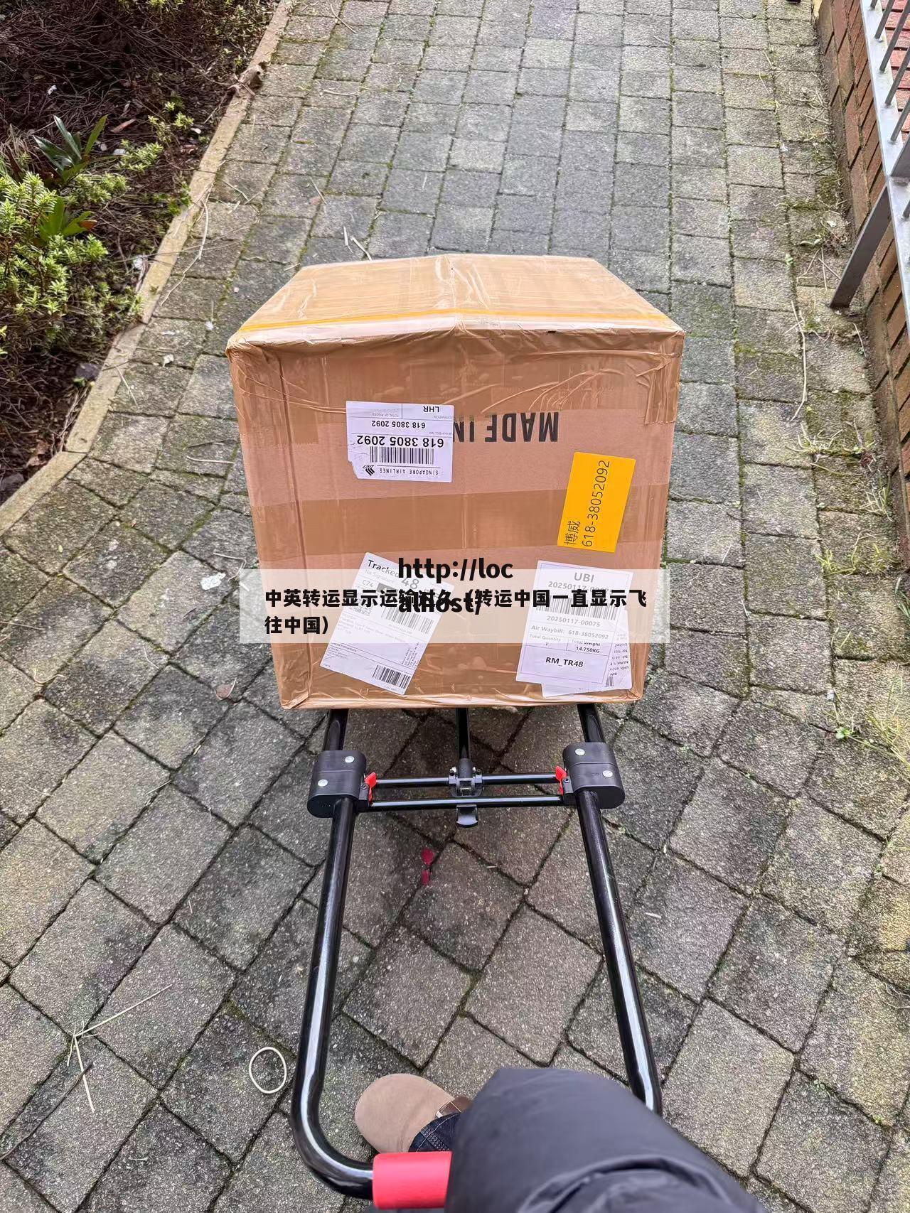 中英转运显示运输过久（转运中国一直显示飞往中国）