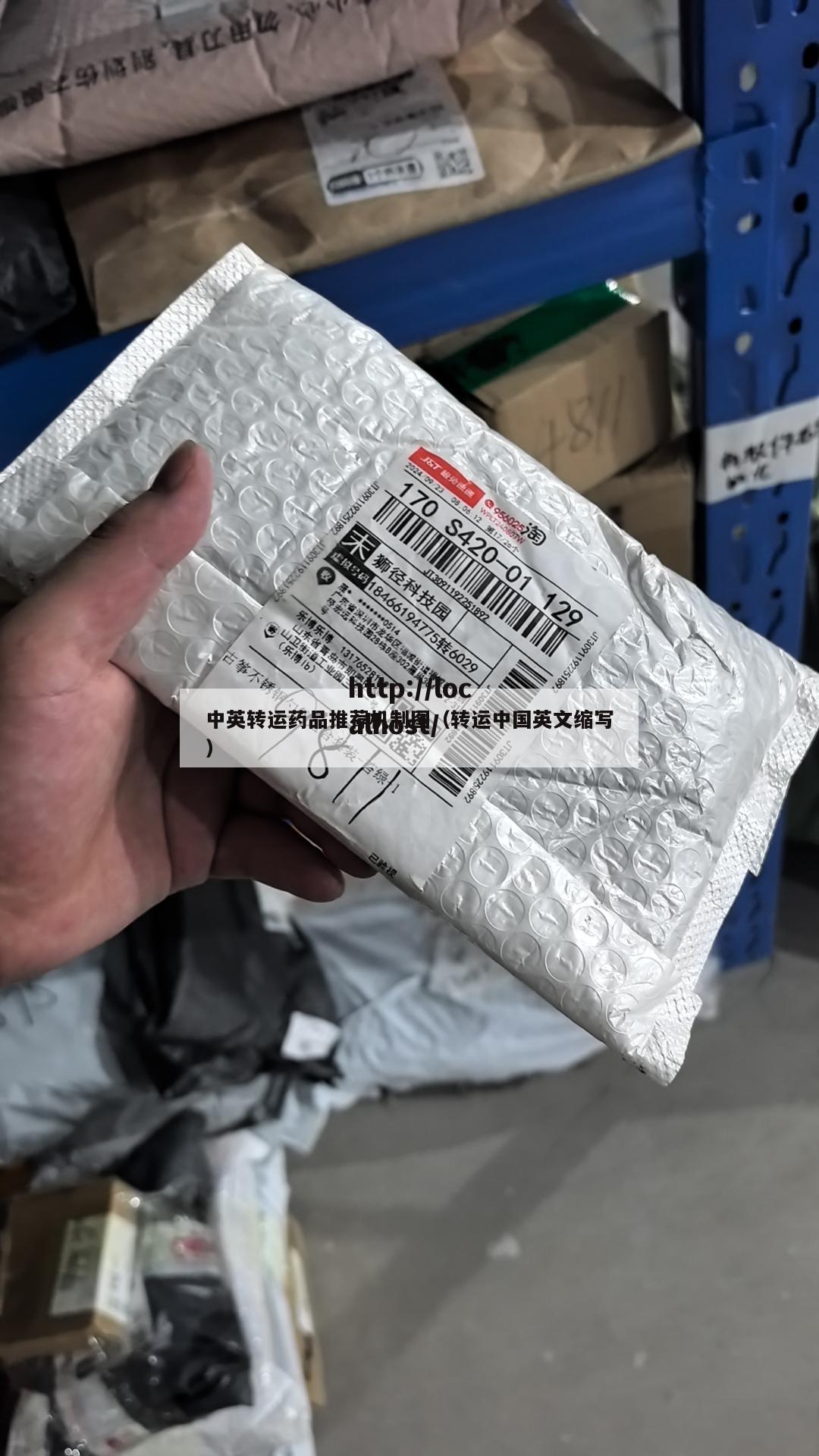 中英转运药品推荐机制图（转运中国英文缩写）