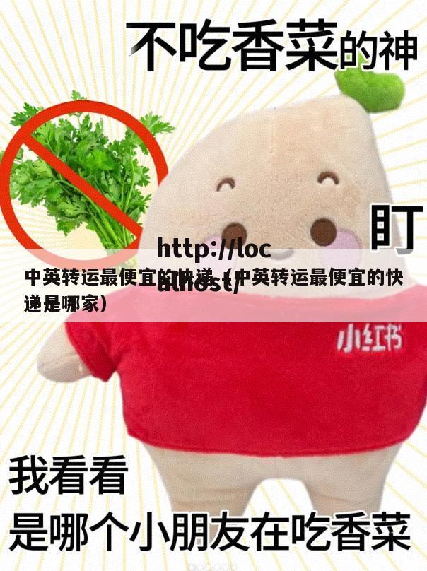 中英转运最便宜的快递（中英转运最便宜的快递是哪家）