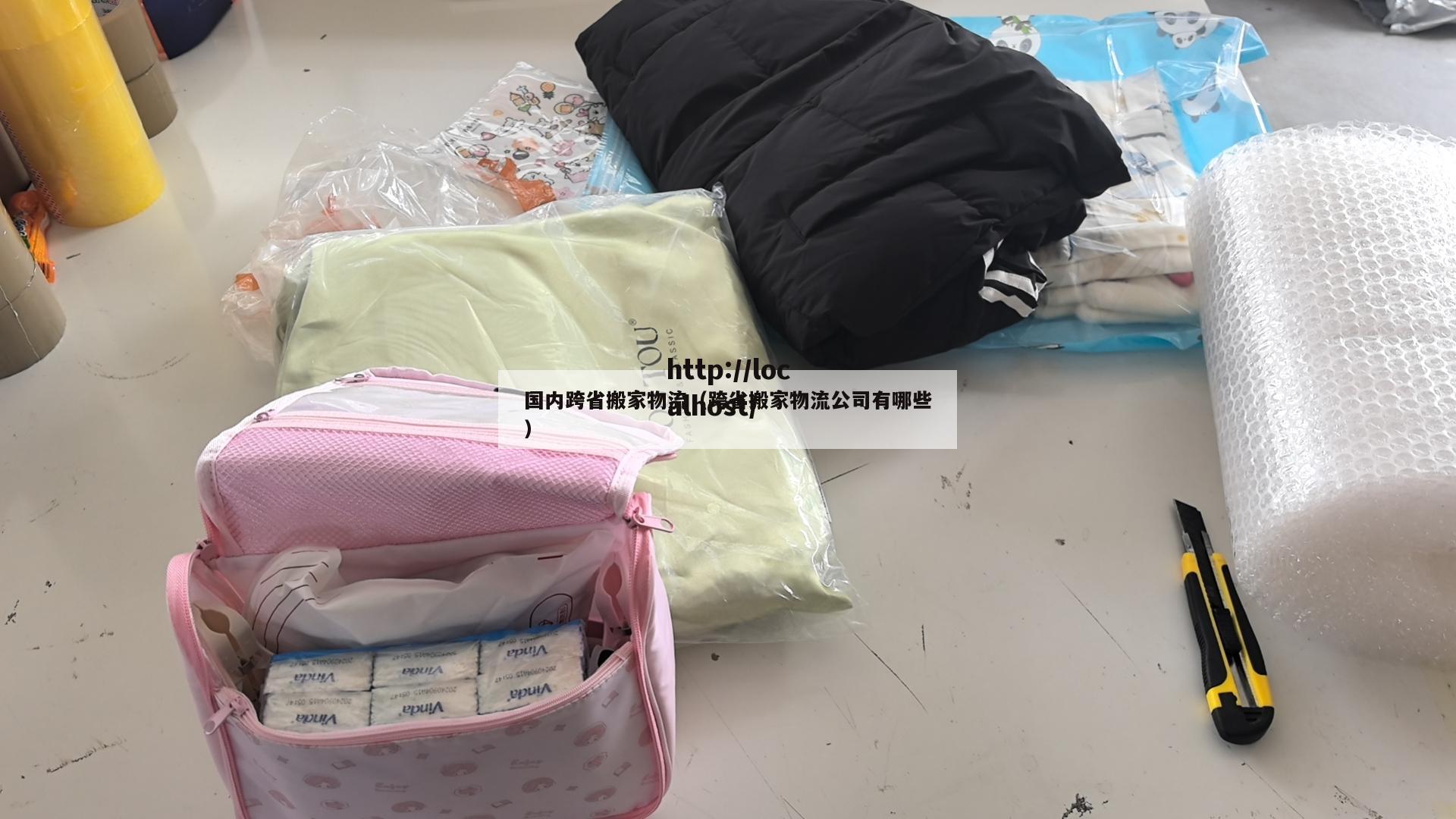 国内跨省搬家物流（跨省搬家物流公司有哪些）