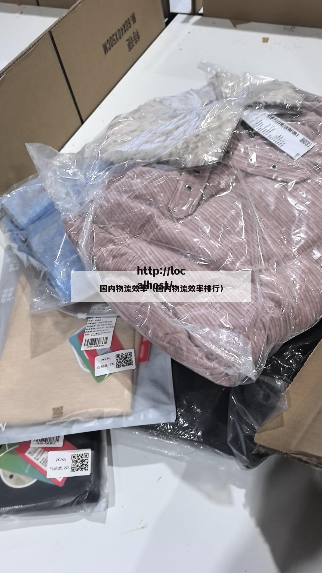 国内物流效率（国内物流效率排行）