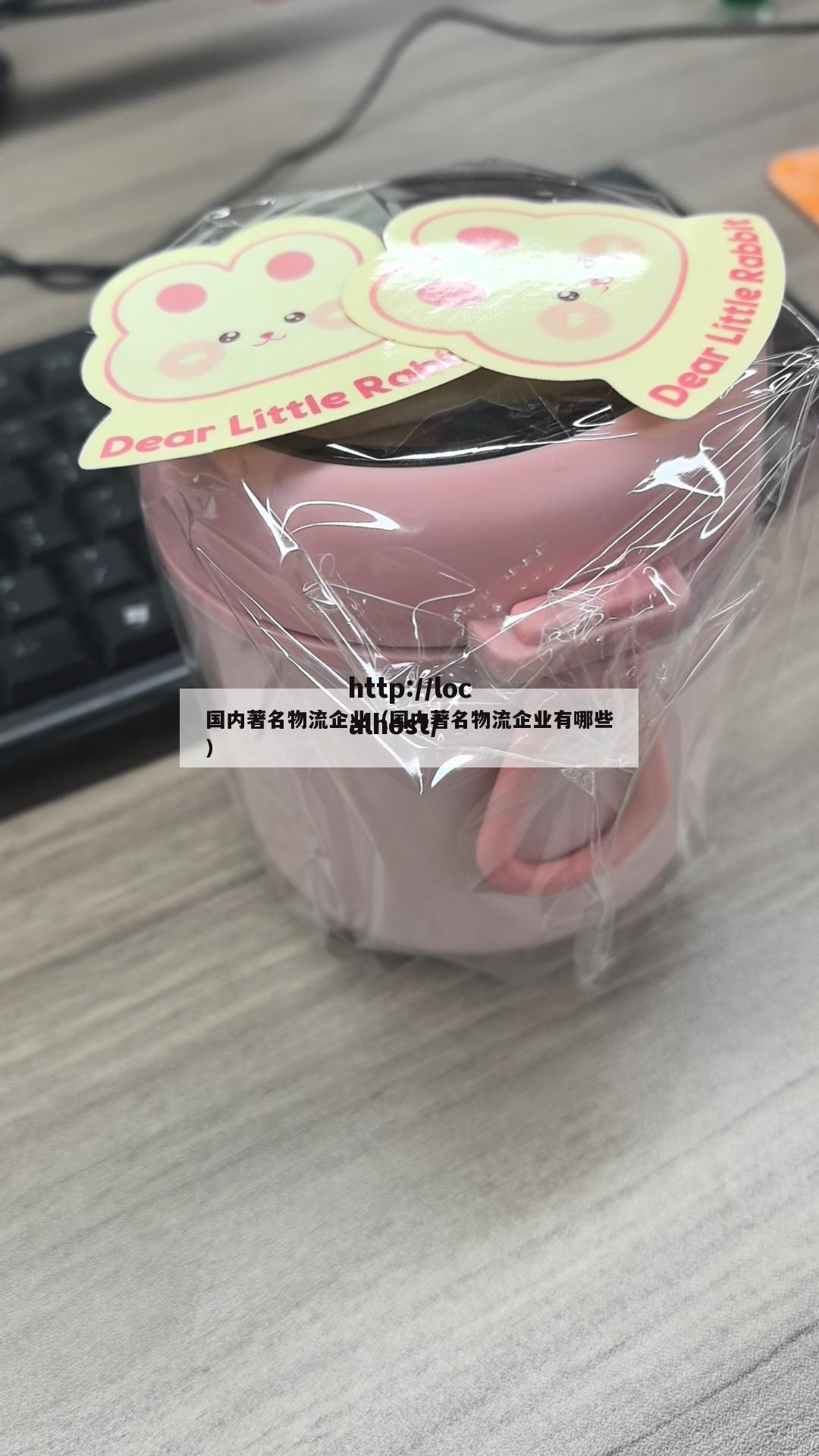 国内著名物流企业（国内著名物流企业有哪些）
