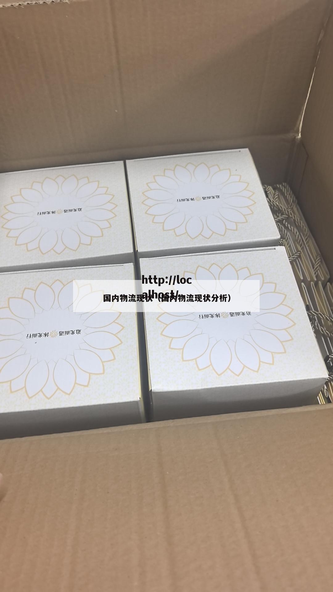 国内物流现状（国内物流现状分析）