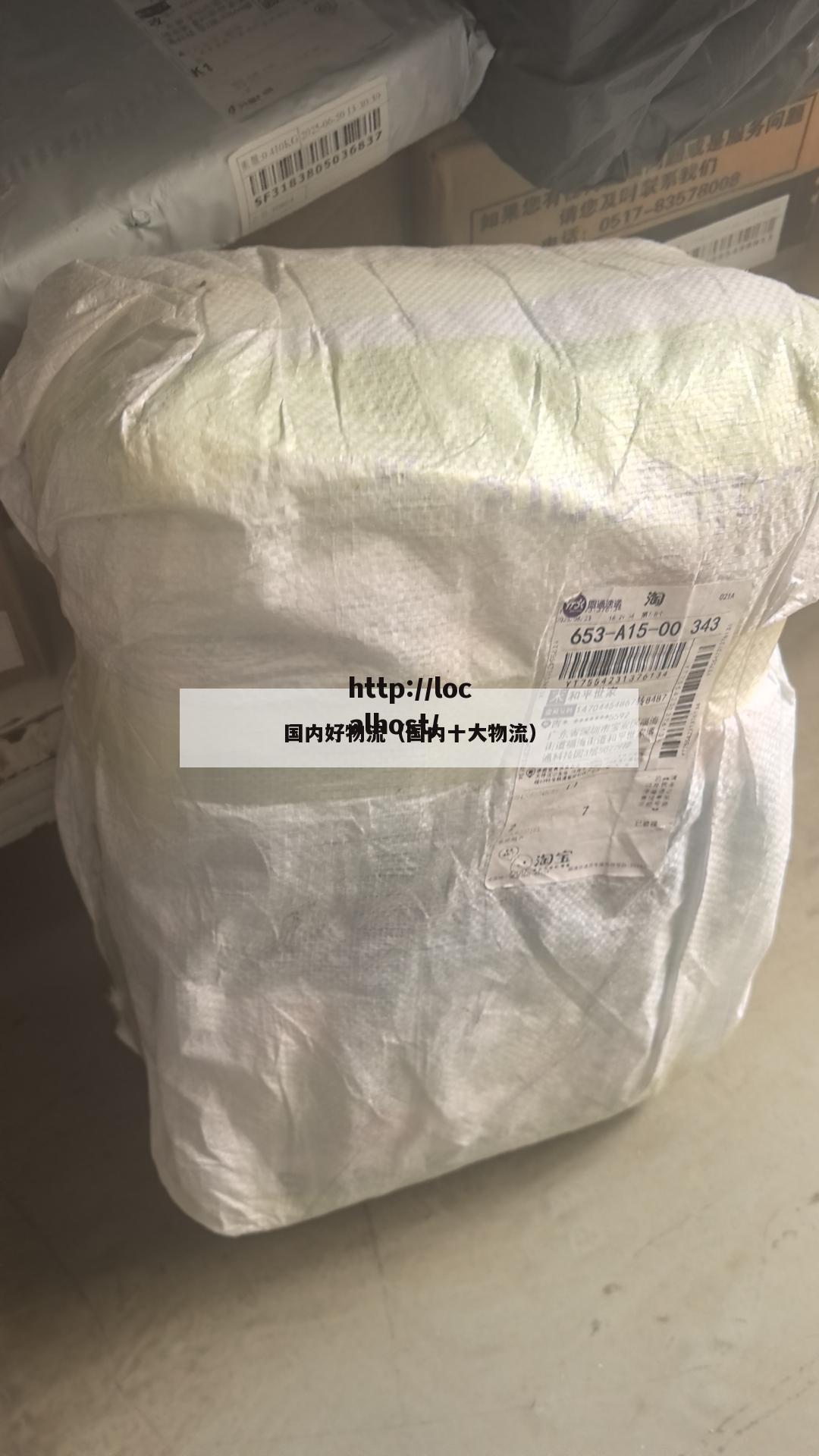 国内好物流（国内十大物流）