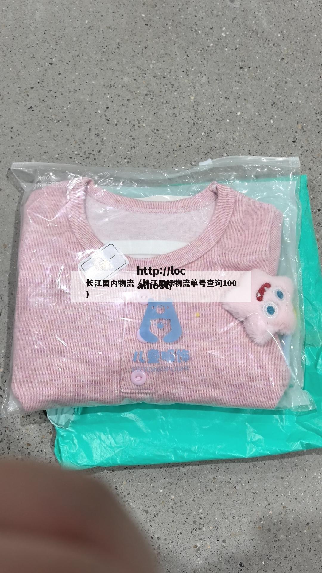 长江国内物流（长江国际物流单号查询100）