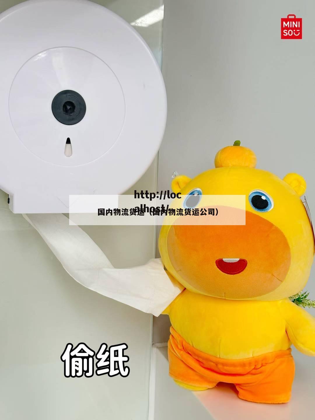 国内物流货运（国内物流货运公司）