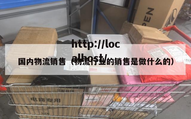 国内物流销售（物流行业的销售是做什么的）