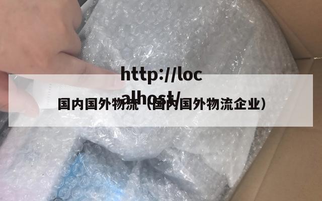 国内国外物流（国内国外物流企业）