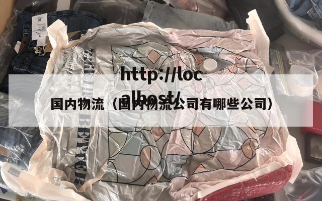 国内物流（国内物流公司有哪些公司）